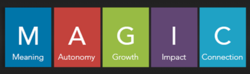 Infographic of the MAGIC model: Meaning, Autonomy, Growth, Impact and Connection in colored blocks